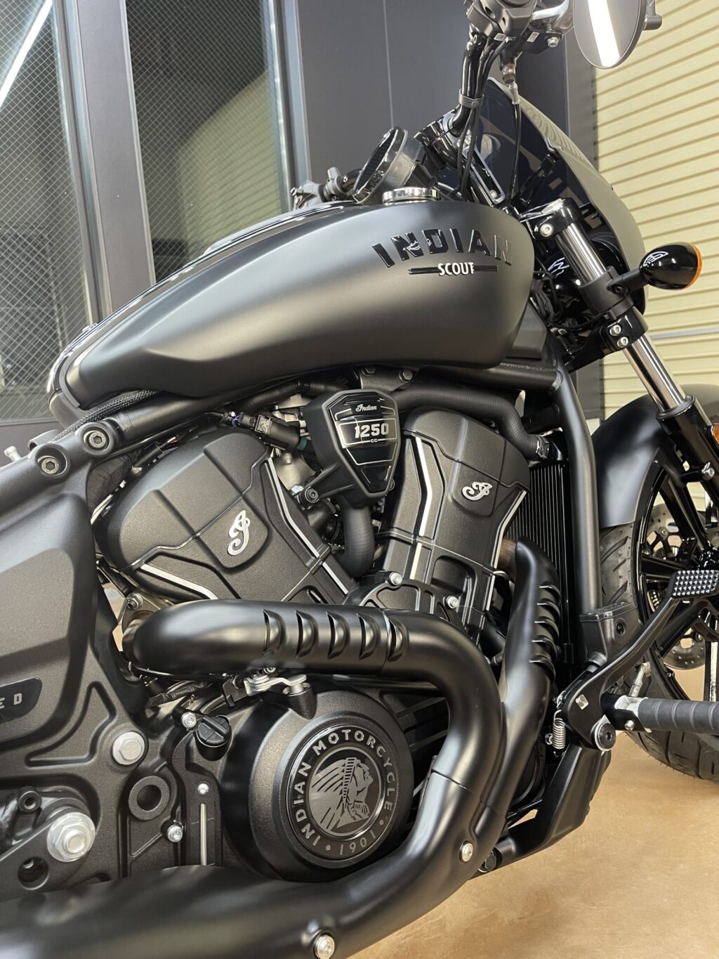 スポーツチーフ